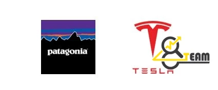 برندهای Patagonia و Tesla