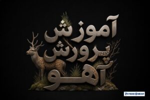 آموزش پرورش آهو