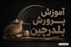 آموزش پرورش بلدرچین