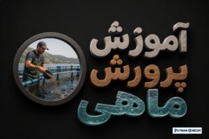 آموزش پرورش ماهی