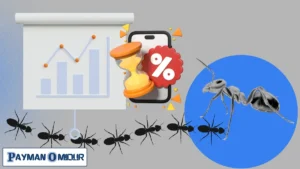 چطور مثل مورچه‌ها تیم فروش کارآمد بسازیم؟