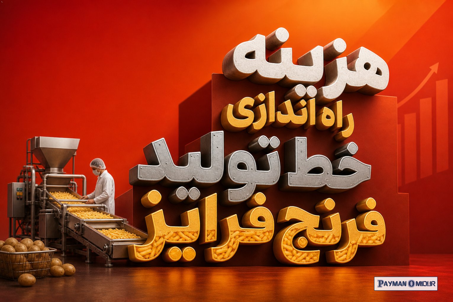 هزینه راه اندازی خط تولید فرنچ فرایز