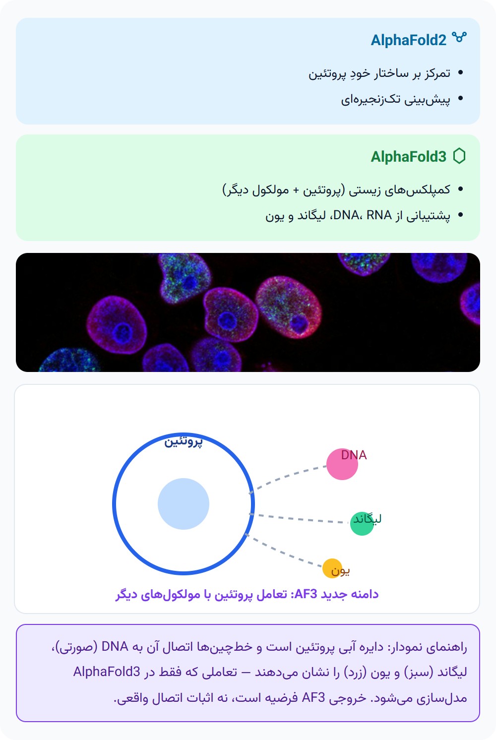 AlphaFold3 چه تفاوتی با AlphaFold2 دارد؟